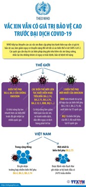 Hình ảnh chi tiết tin tức WHO: Vaccine vẫn có giá trị bảo vệ cao trước đại dịch COVID-19 Hình ảnh tin tức WHO: Vaccine vẫn có giá trị bảo vệ cao trước đại dịch COVID-19