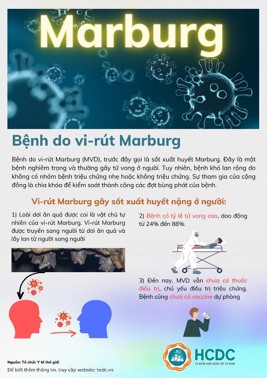 Hình ảnh chi tiết tin tức Bệnh do vi-rút Marburg Hình ảnh tin tức Bệnh do vi-rút Marburg